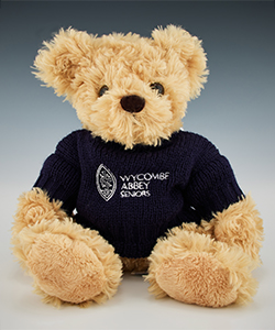 Seniors' Teddy Bear