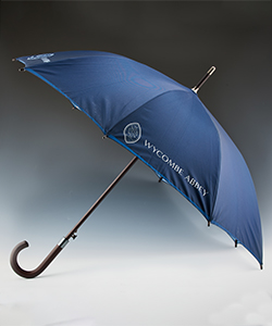 Large Umbrella
