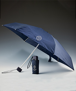 Mini Umbrella